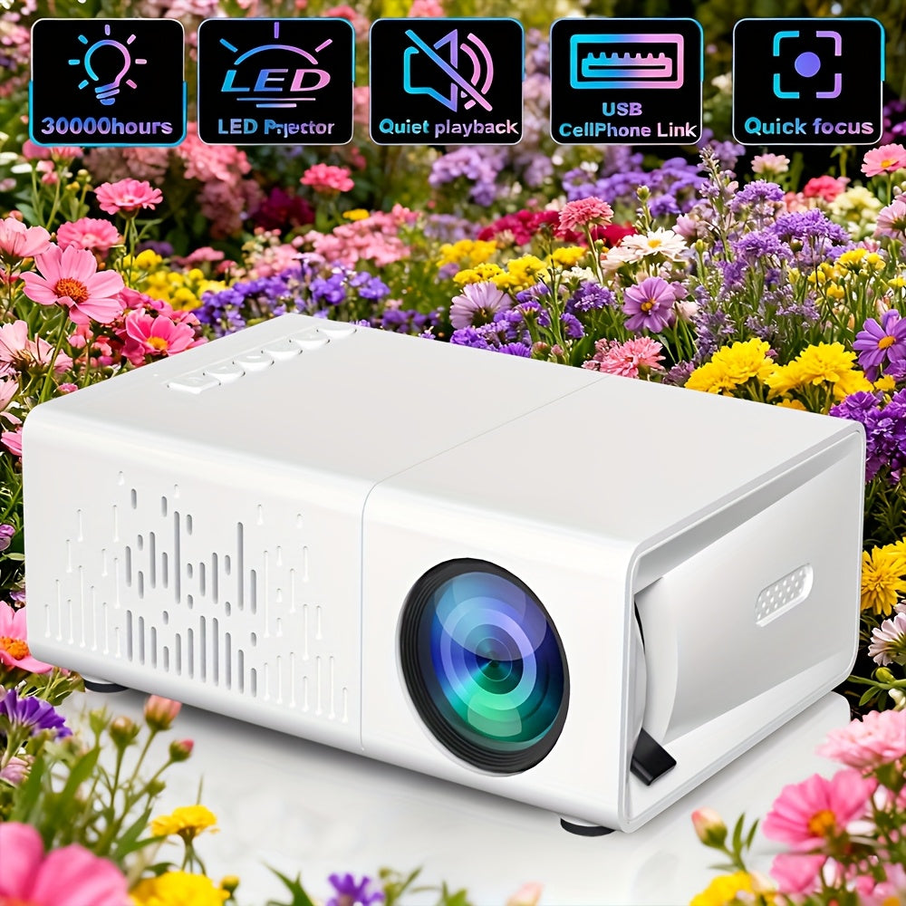 Mini LCD Projector